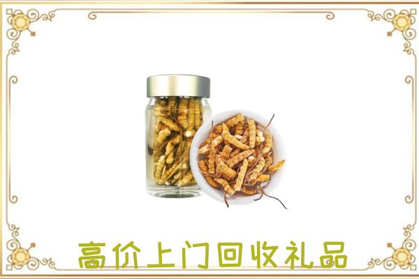 陵水周边回收虫草